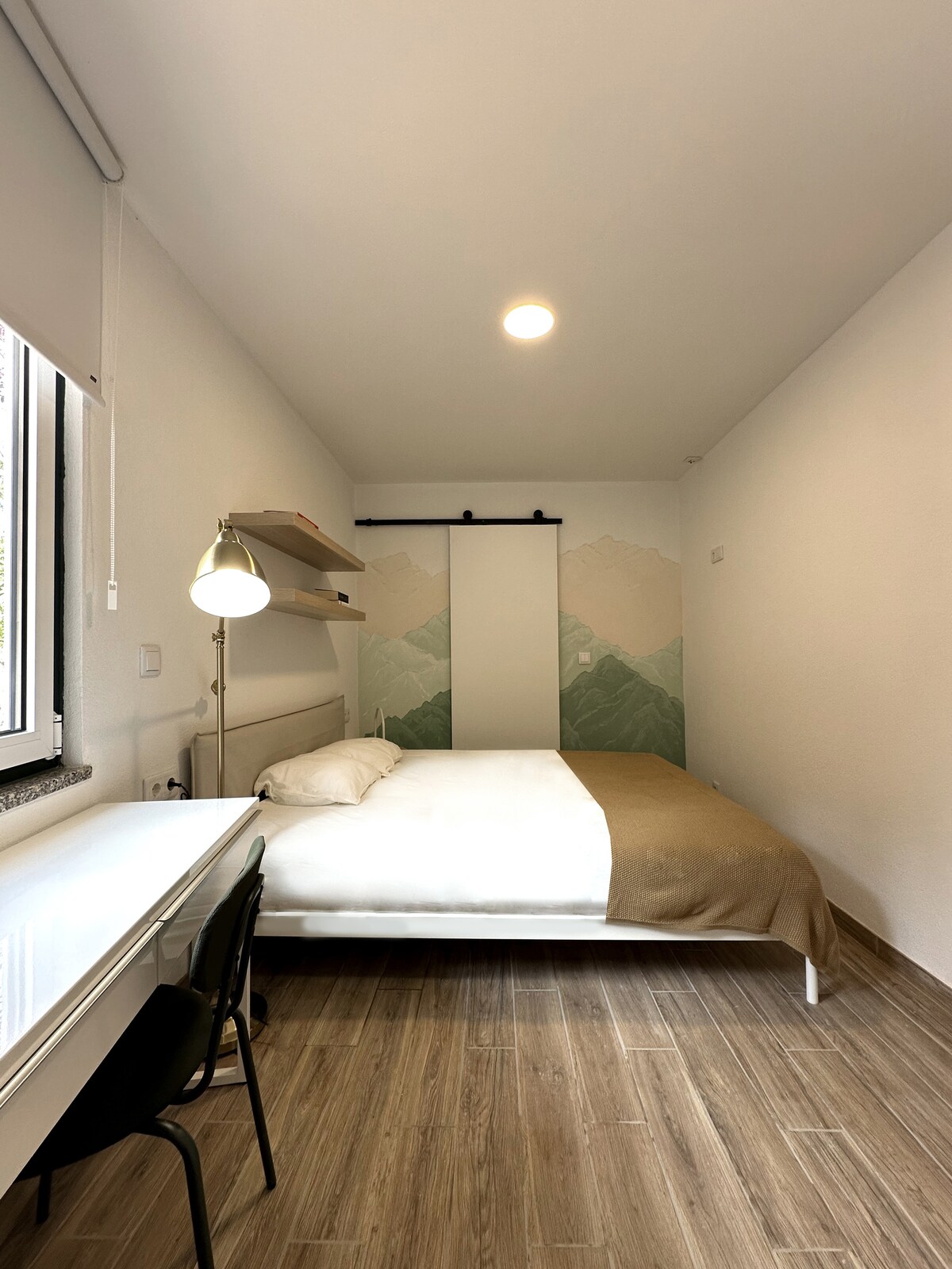 Bedroom with mountain mural and barn-style door